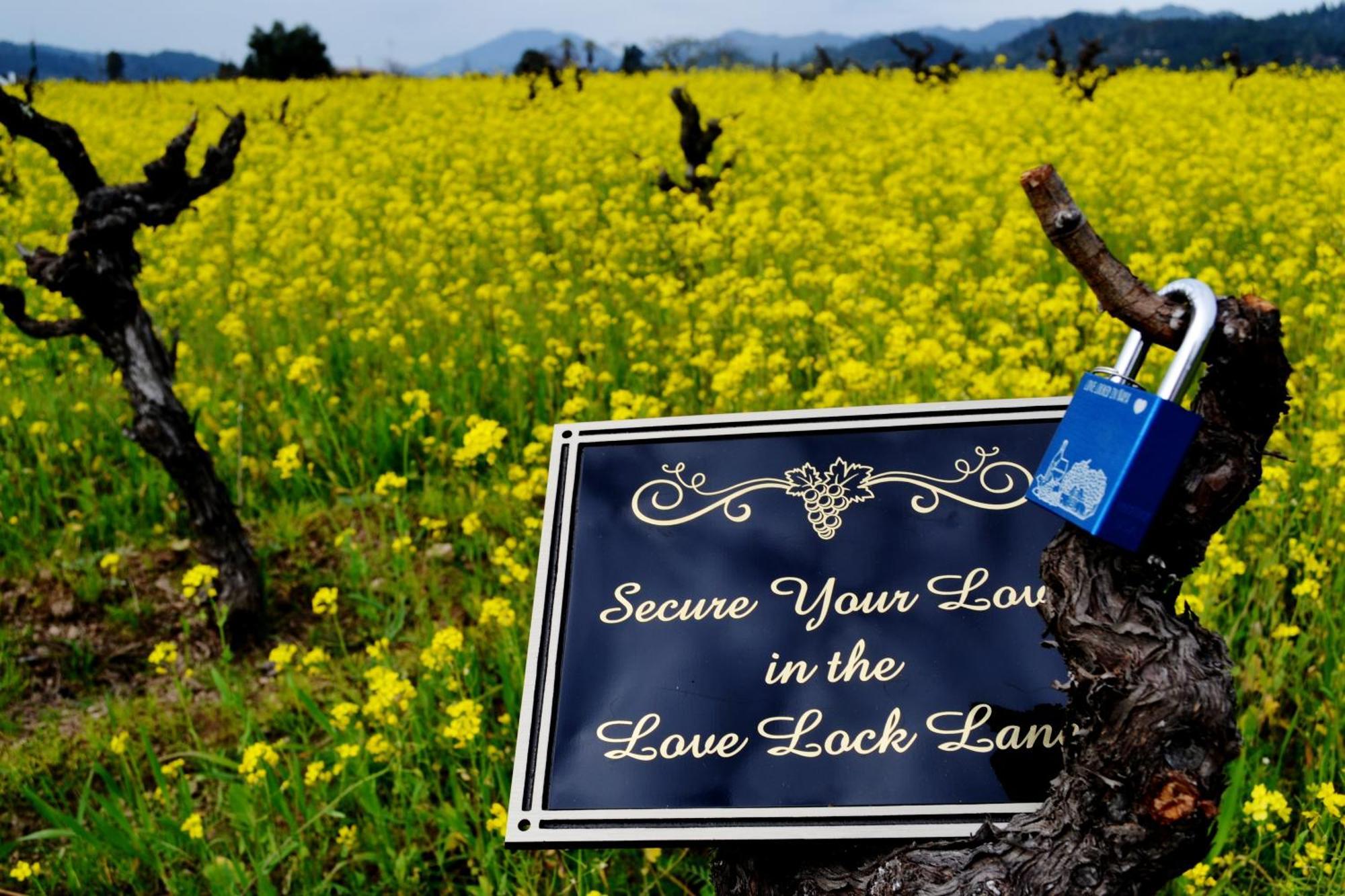 Chardonnay Lodge Napa Bagian luar foto