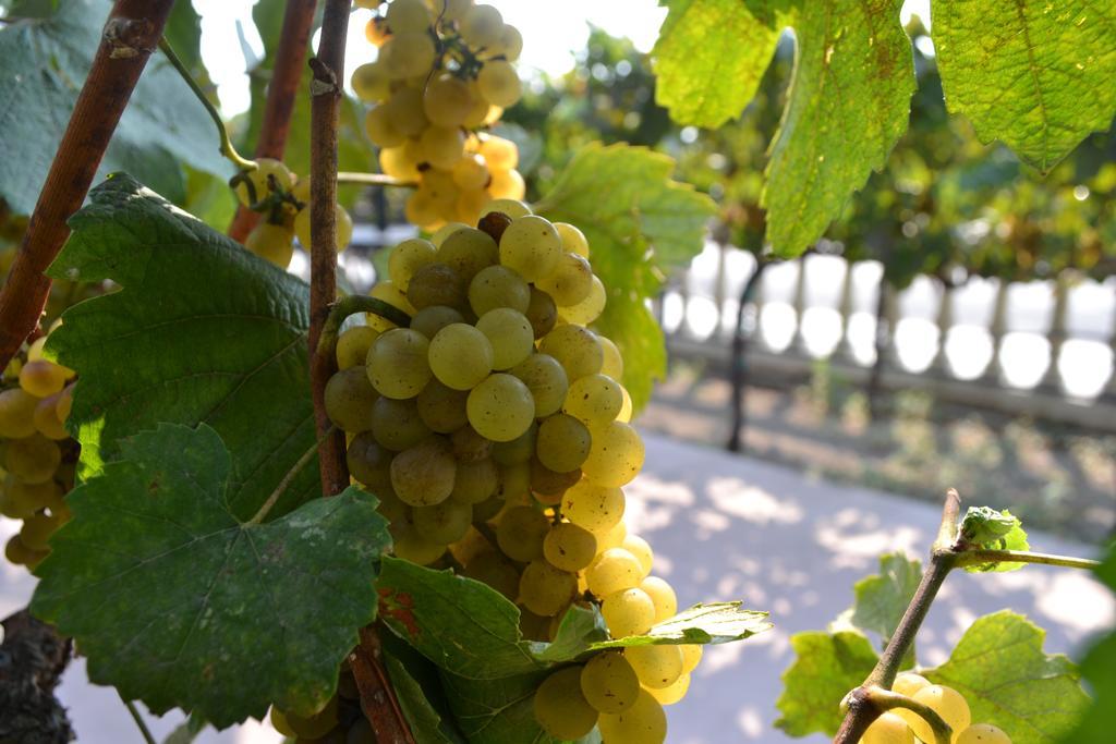 Chardonnay Lodge Napa Bagian luar foto
