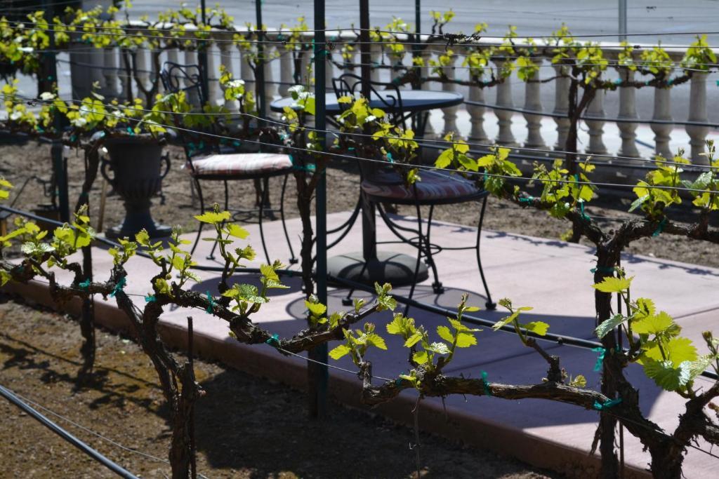 Chardonnay Lodge Napa Bagian luar foto