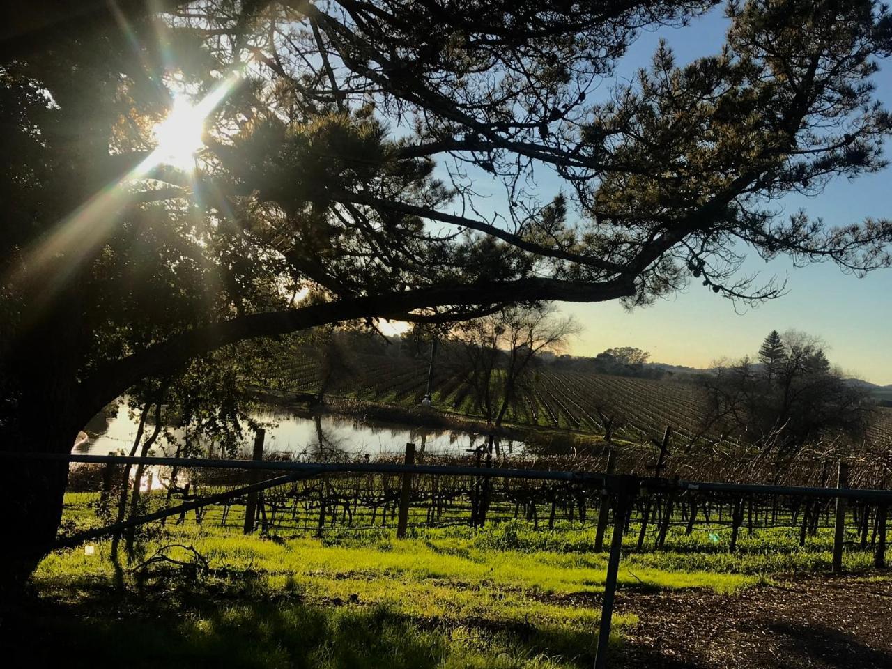 Chardonnay Lodge Napa Bagian luar foto
