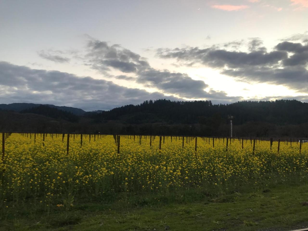Chardonnay Lodge Napa Bagian luar foto