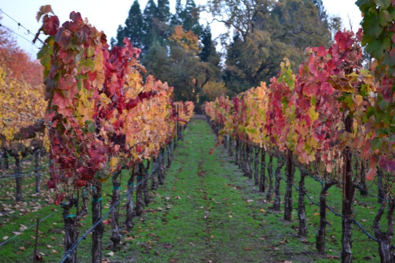 Chardonnay Lodge Napa Bagian luar foto